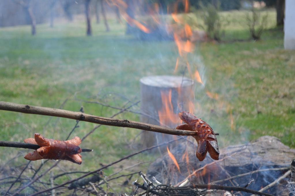 Chalupa Pod Klepacem Králíky 外观 照片